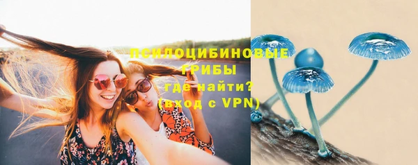 а пвп мука Алексеевка