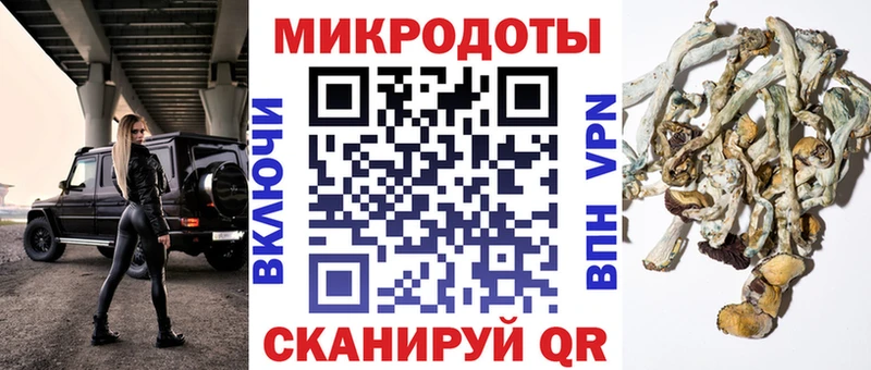 Галлюциногенные грибы Psilocybe  Коркино 