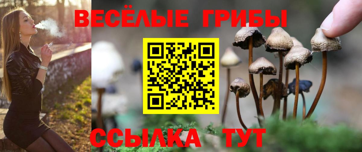 Псилоцибиновые грибы MAGIC MUSHROOMS  Вход с VPN  Коркино  Галлюциногенные грибы Psilocybine cubensis 