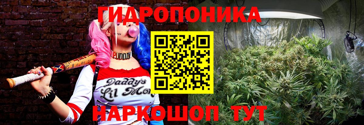 Бошки Шишки AK-47  Марихуана AK-47  Коркино  Вход с VPN 